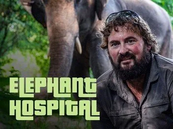 A man with curly hair and a beard smiling next to an elephant, with a green outdoor background and the text 'Elephant Hospital' in large green letters.