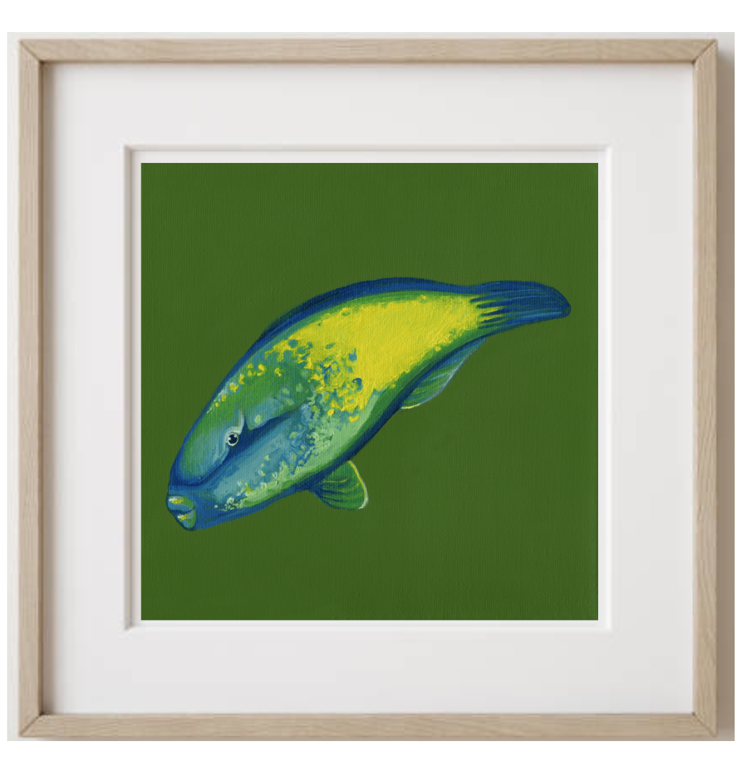 Bullethead Parrotfish Oak Frame.png