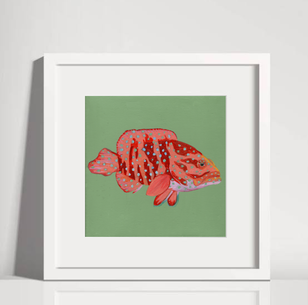 Coral Grouper White Frame.png