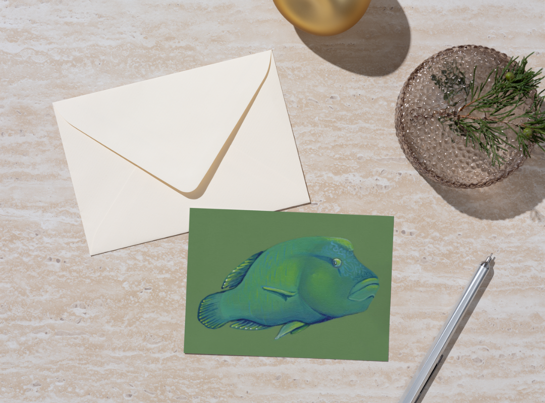 Humphead Wrasse Fish