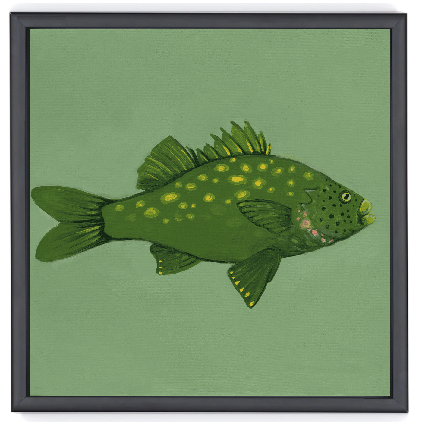 Australian Bass Black Float Frame.png