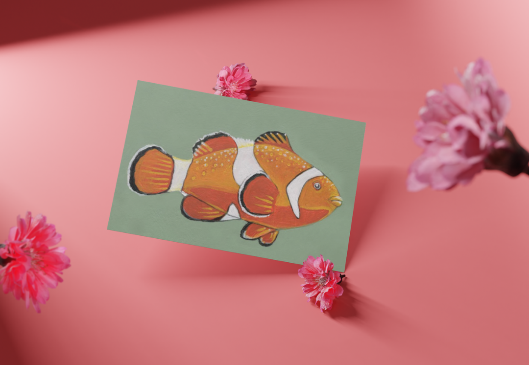 Clownfish
