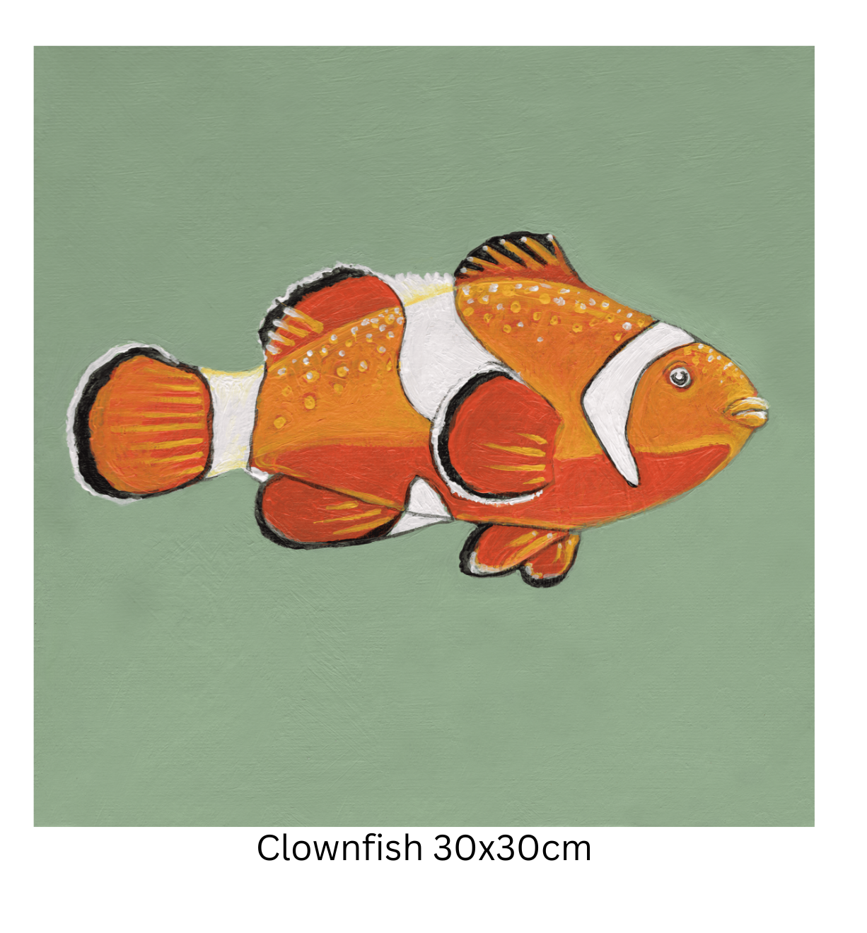 Clownfish 30cm.png