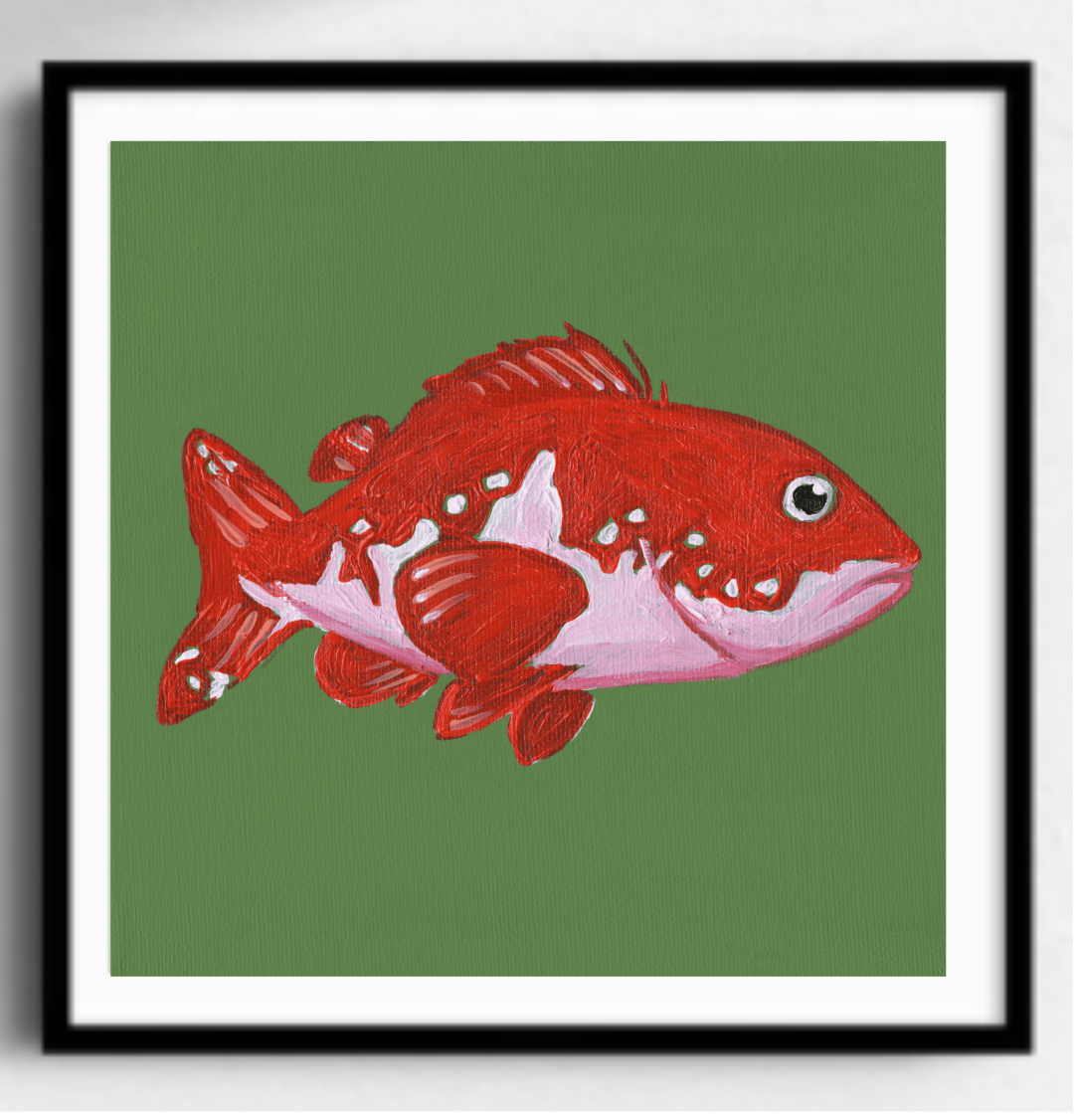 Red Snapper Black Frame.png
