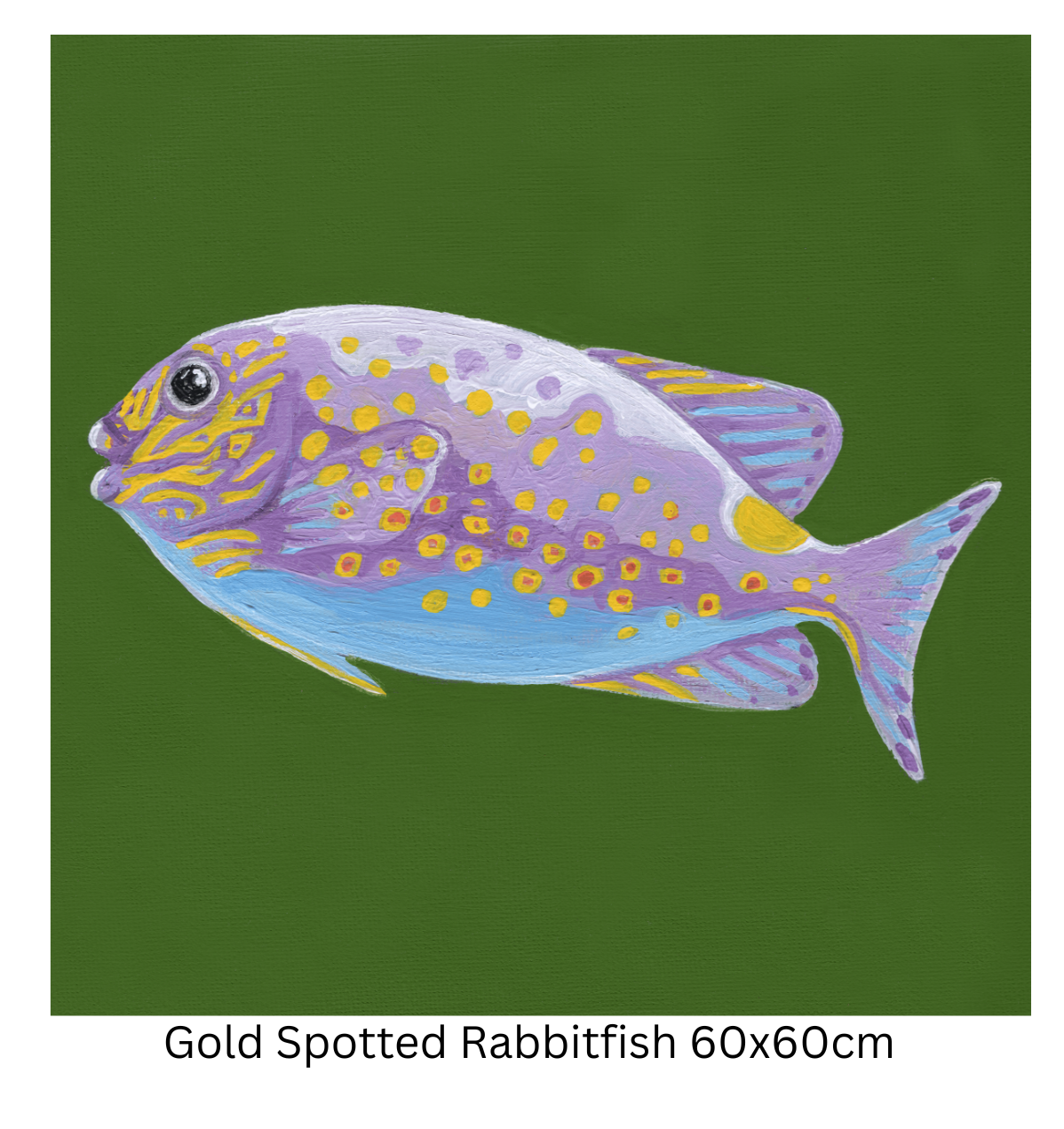 Gold Spotted Rabbitfish 60cm.png