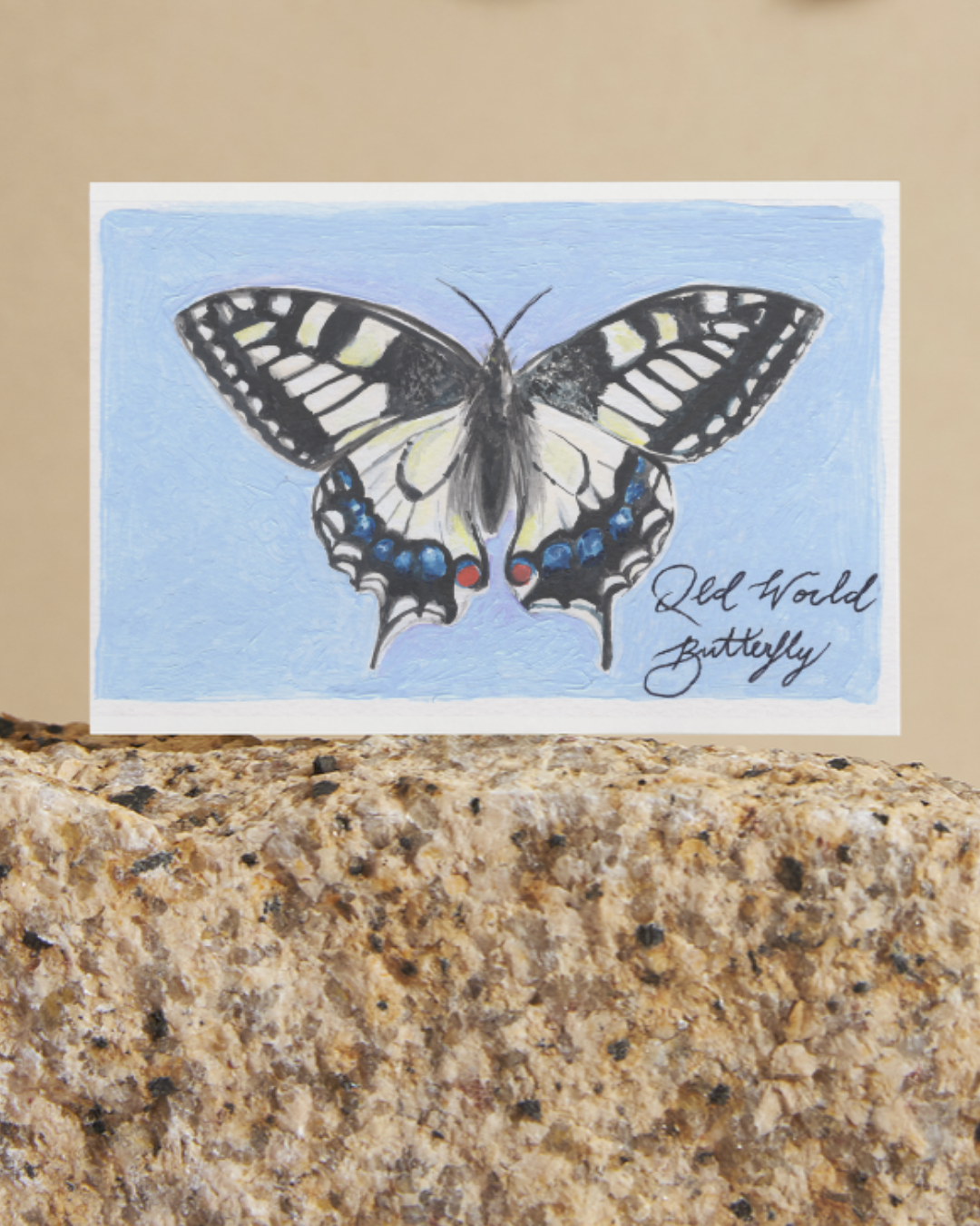 Old World Swallowtail Butterfly