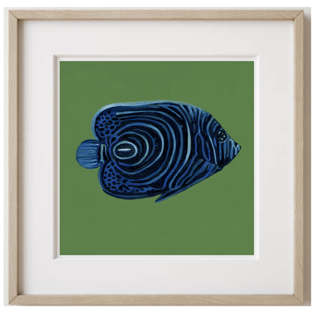 Emperor Angelfish Oak Frame.png