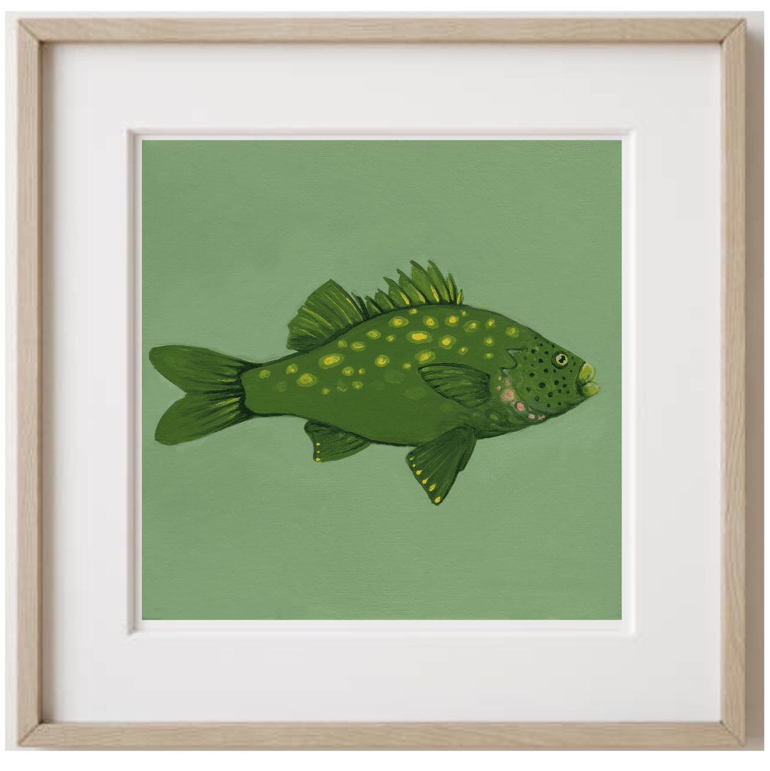 Australian Bass Oak Frame.png
