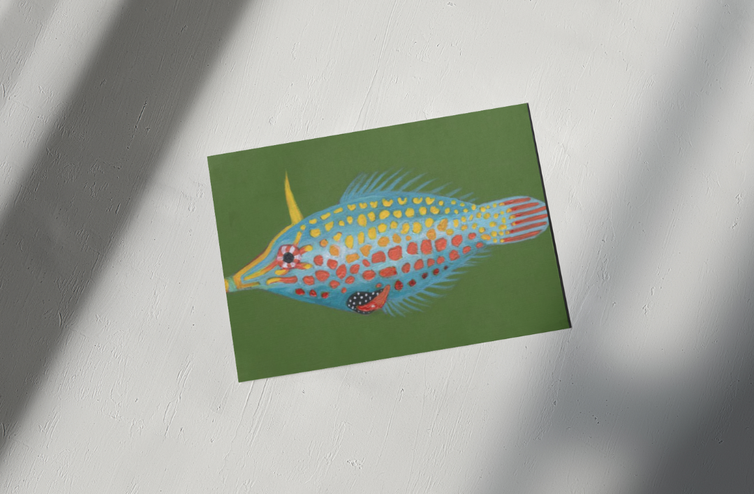 Harlequin Filefish