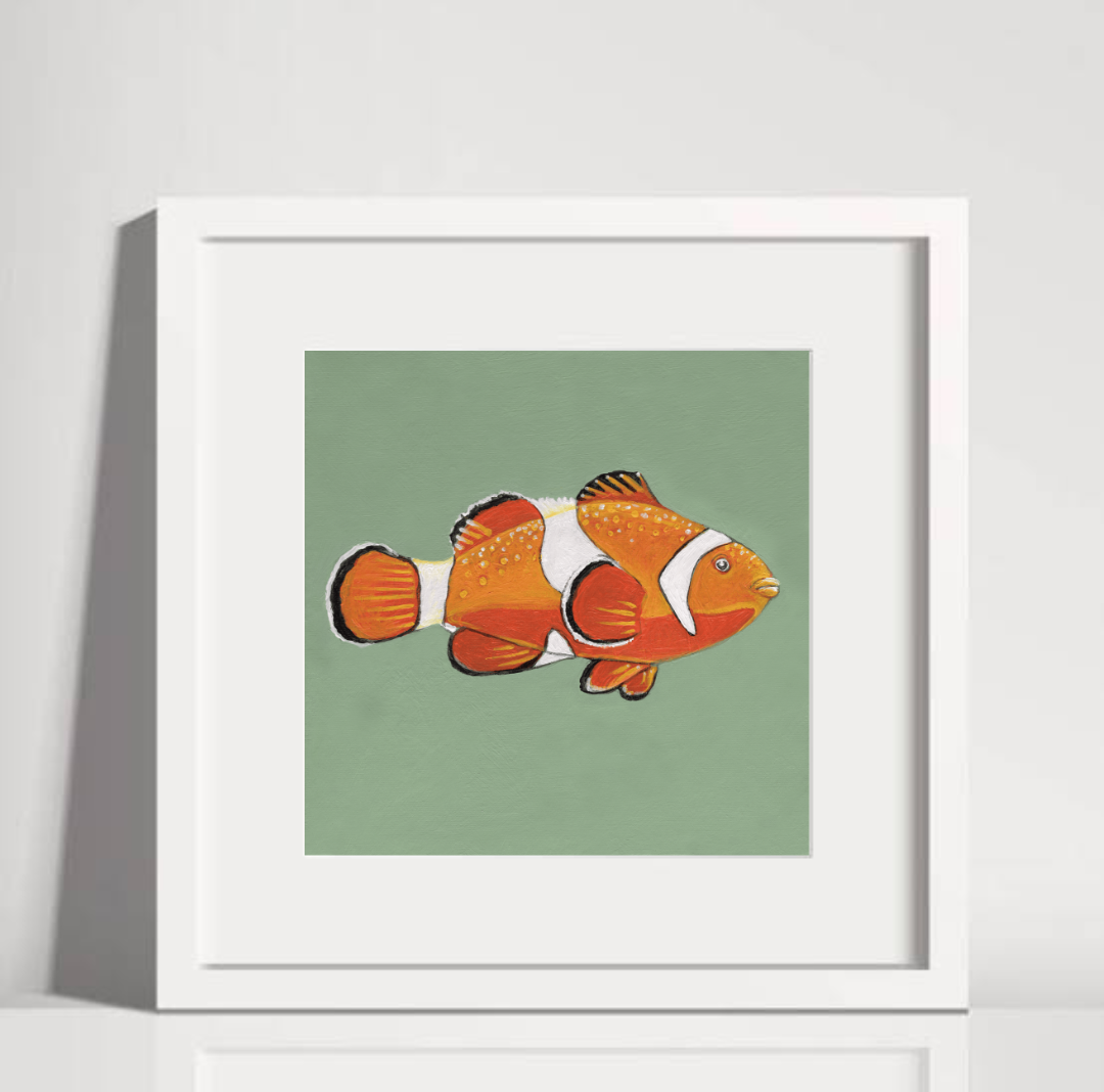 Clownfish White Frame.png