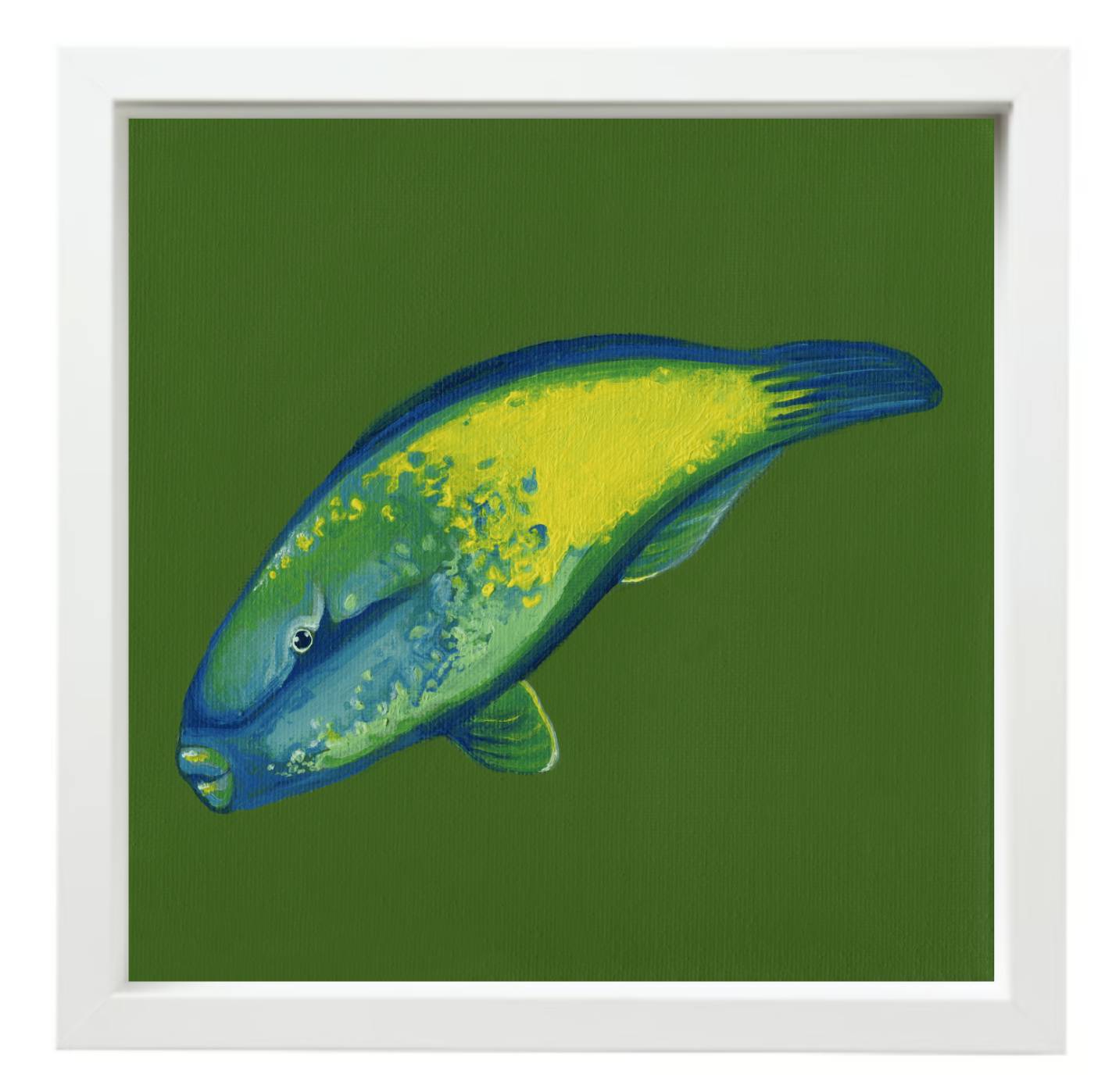 Bullethead Parrotfish White fLOAT frame.png