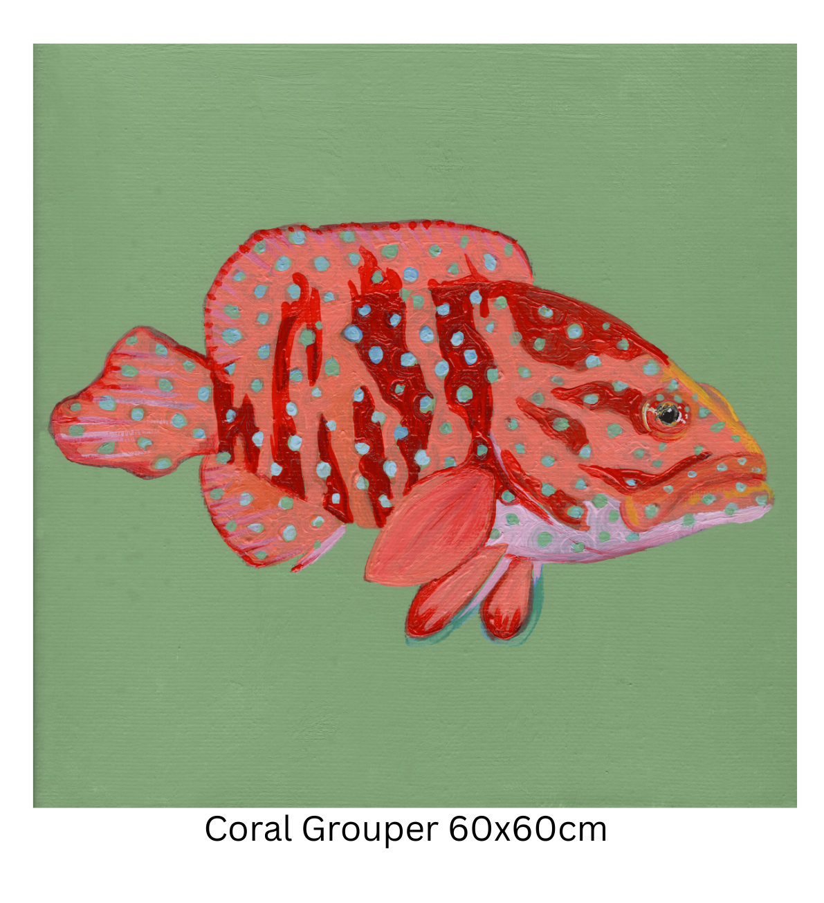 Coral Grouper 60cm.png