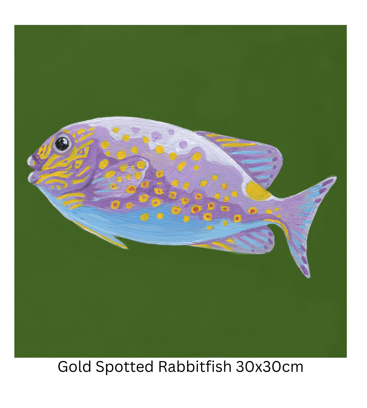 Gold Spotted Rabbitfish 30cm.png