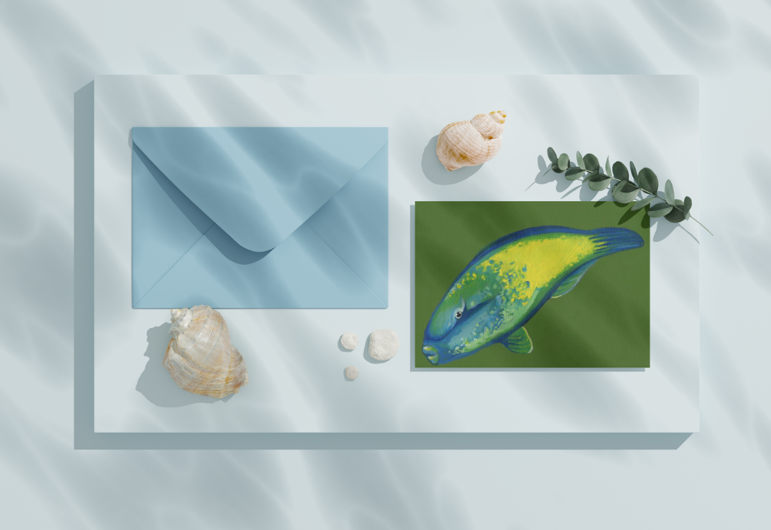 Bullethead Parrotfish