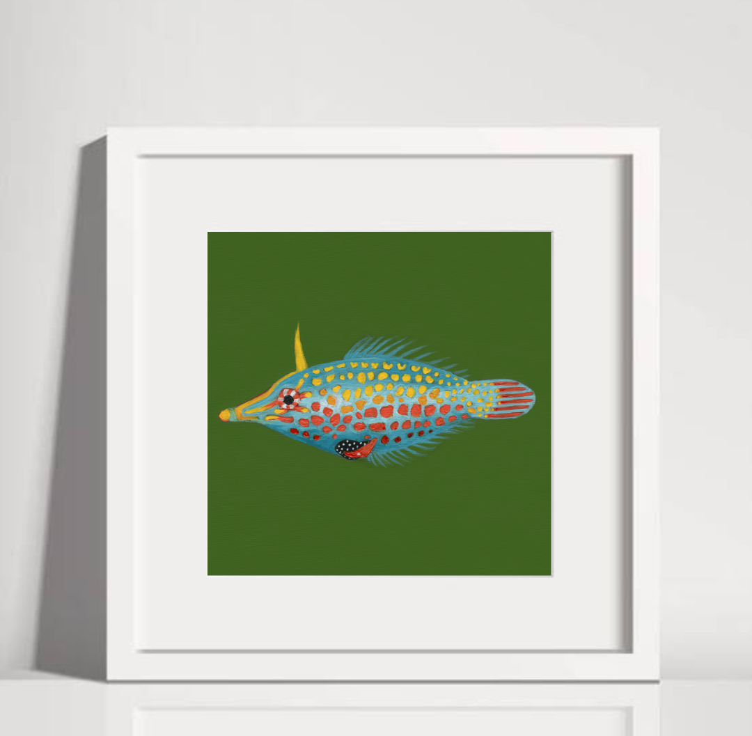 Harlequin File Fish White Frame.png