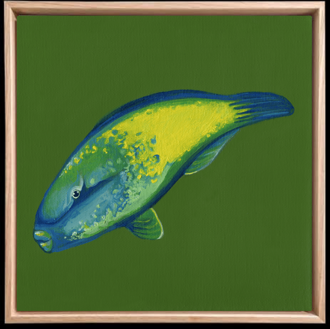 14.png