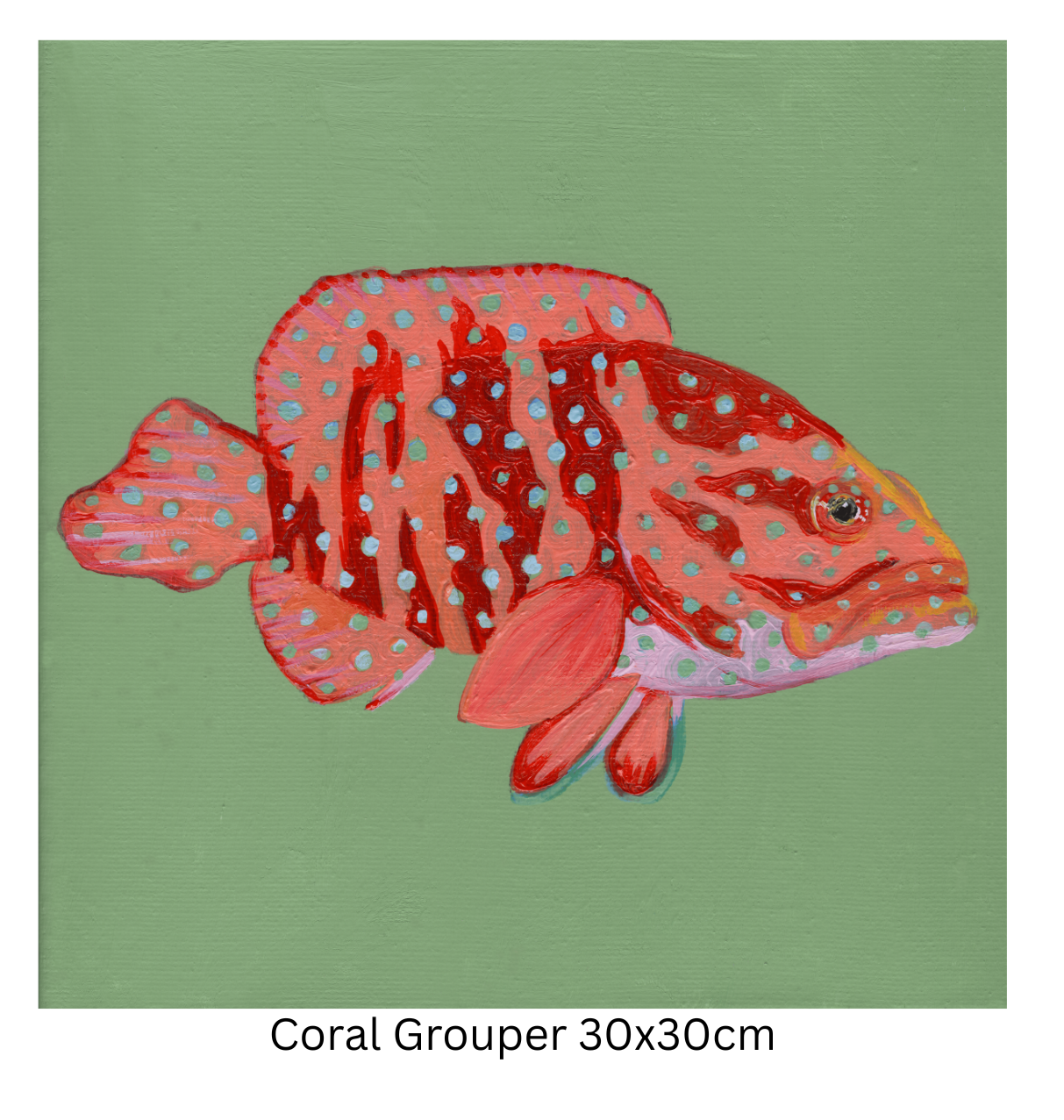 Coral Grouper 30cm.png