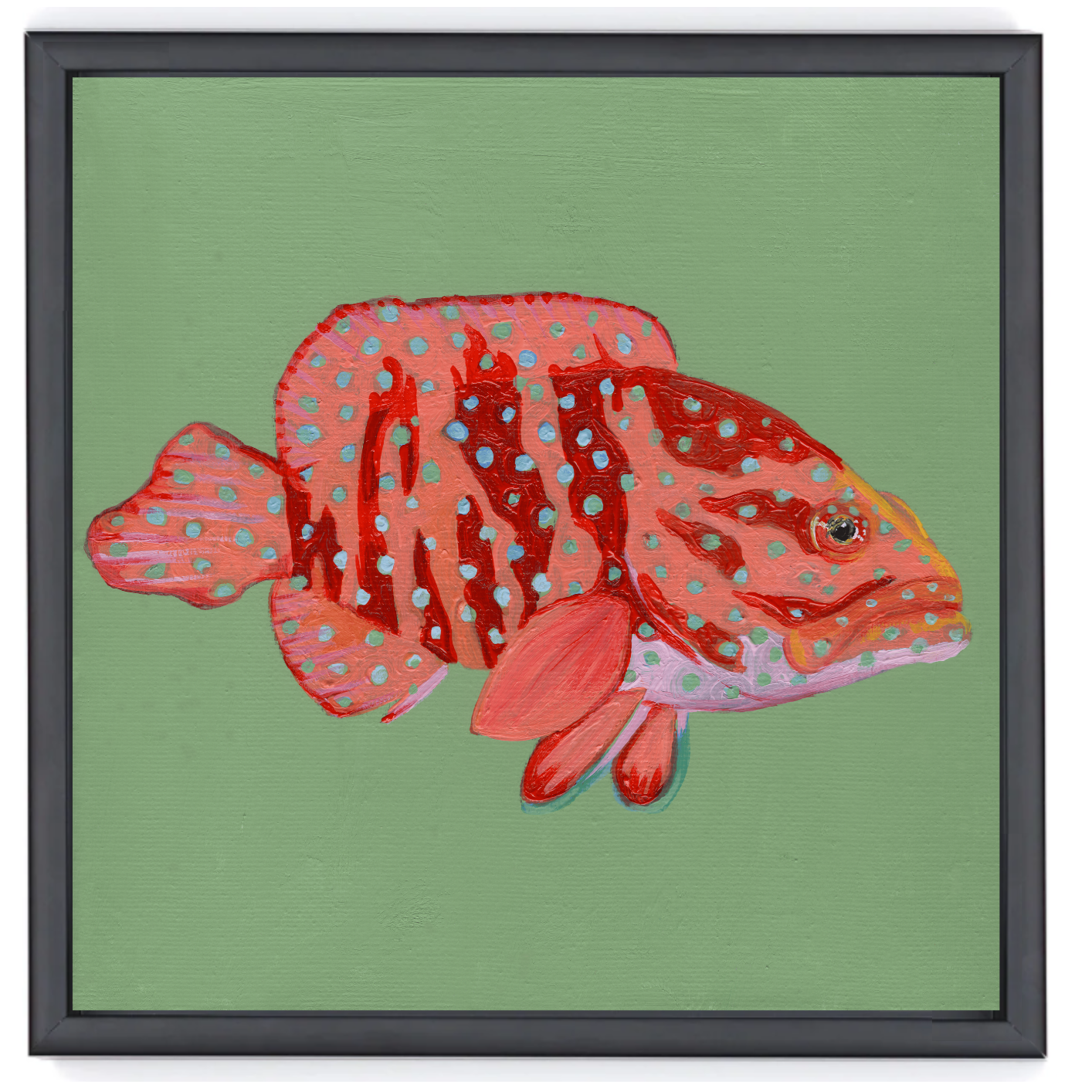 Coral Grouper Black Float Frame.png