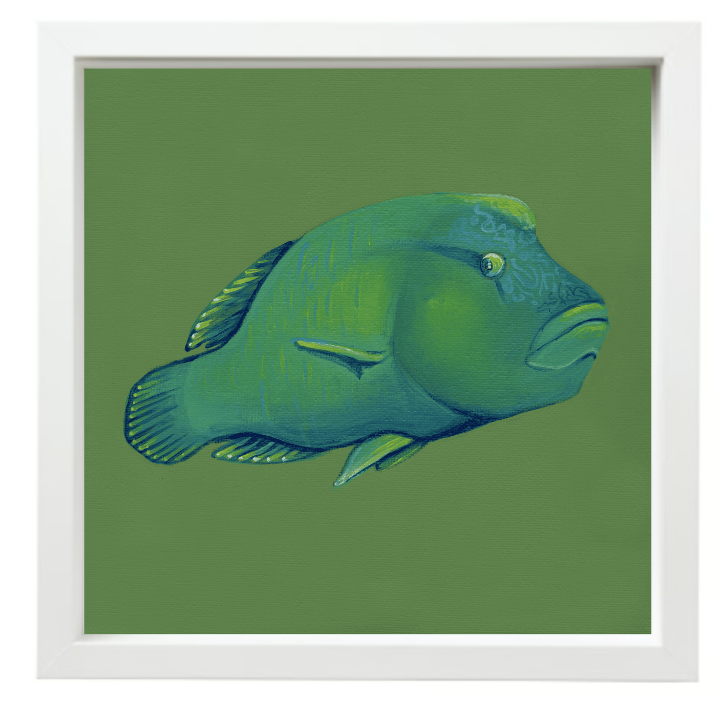 Humphead Wrasse White Float Frame.png