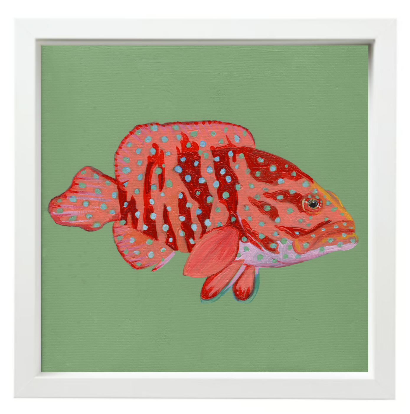 Coral Grouper White Float Frame.png