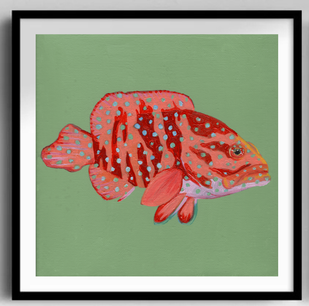 Coral Grouper Black Frame.png