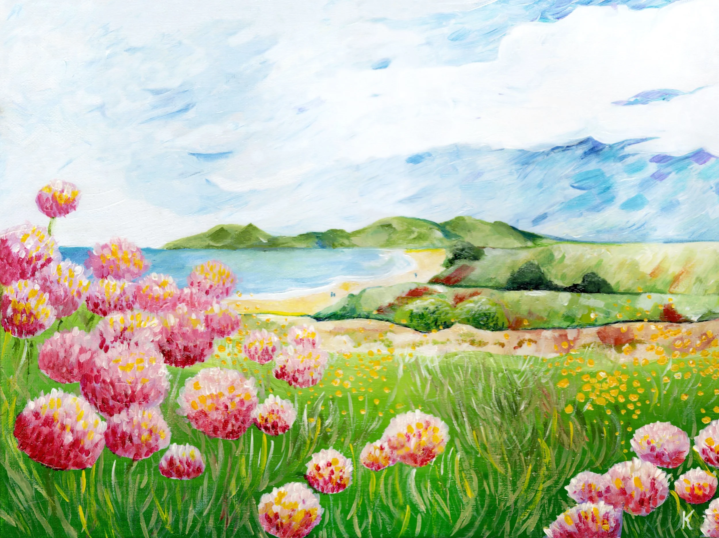 New Zealand Wildflowers