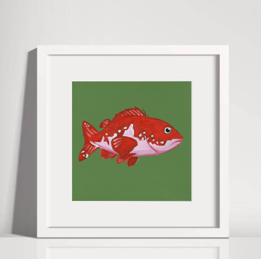 Red Snapper White Frame.png