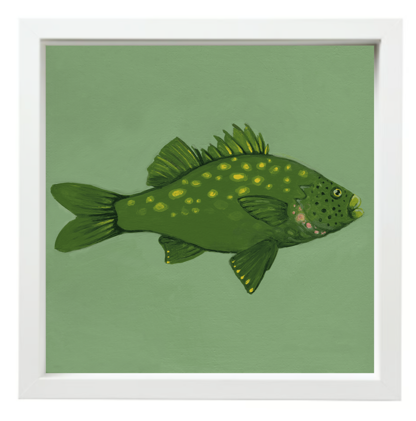Australian Bass White Float Frame.png