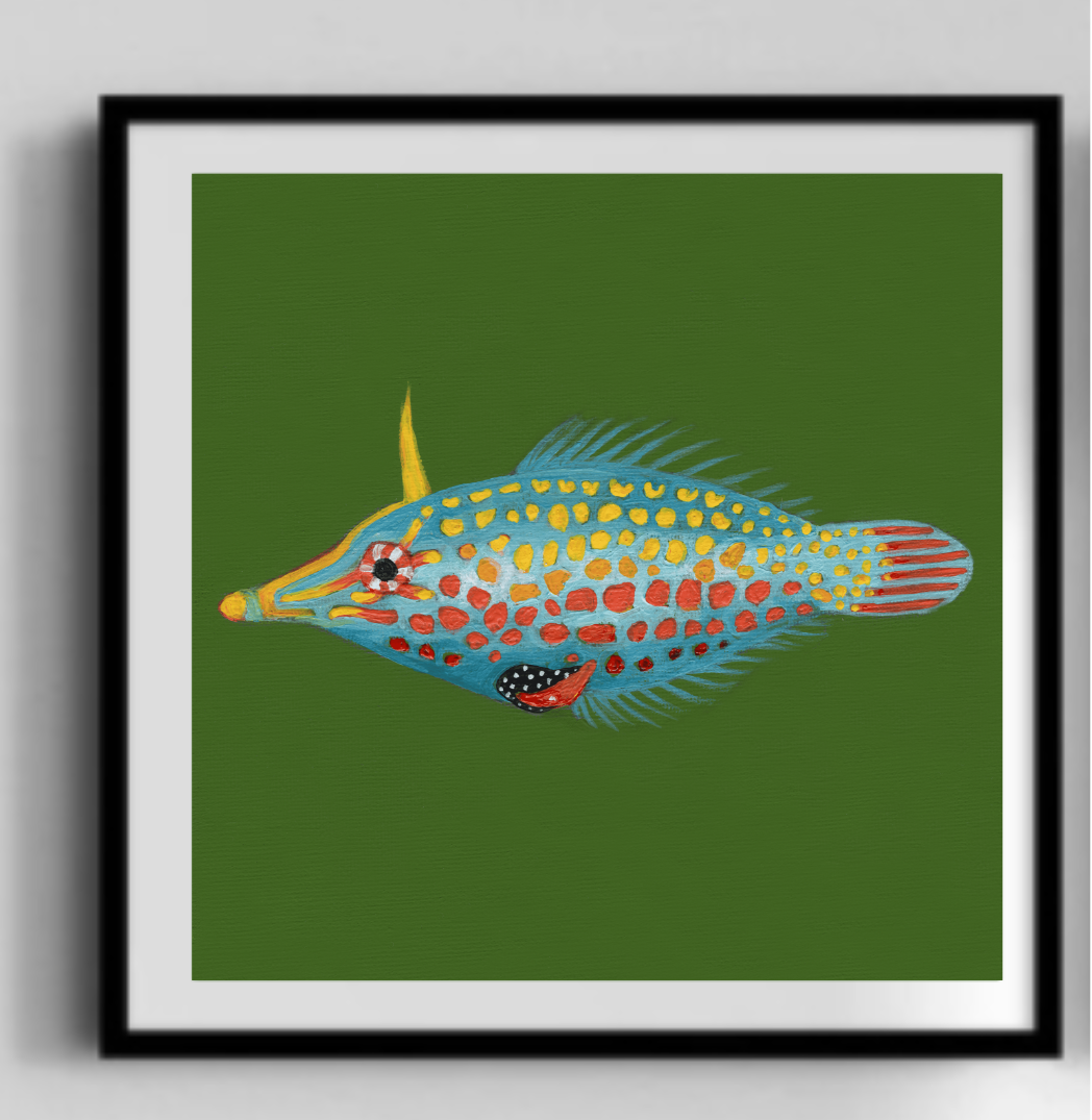Harlequin Black Frame.png