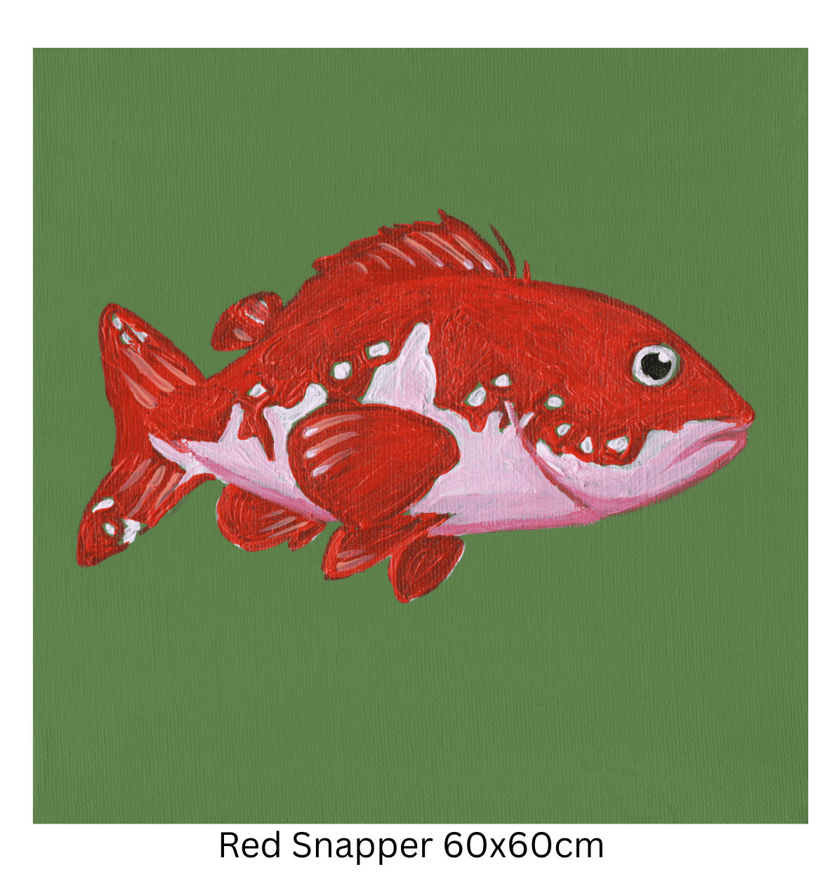 Red Snapper 60cm.png