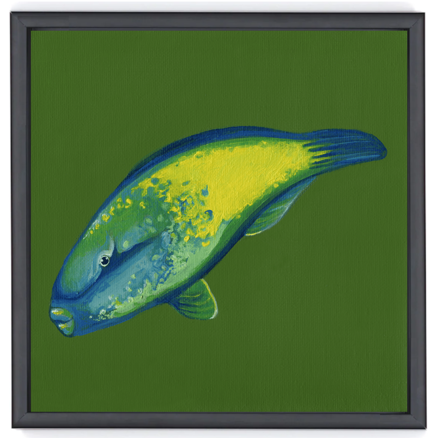 Bullethead Parrotfish Black Float frame.png