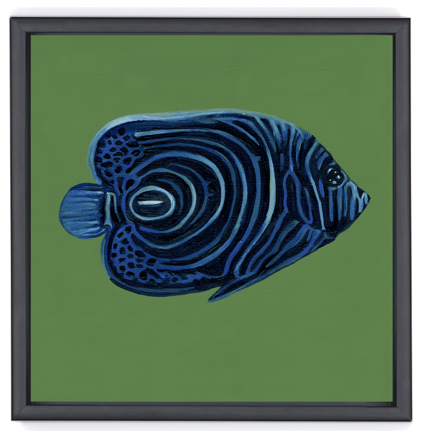 Emperor Angelfish Black Float Frame.png