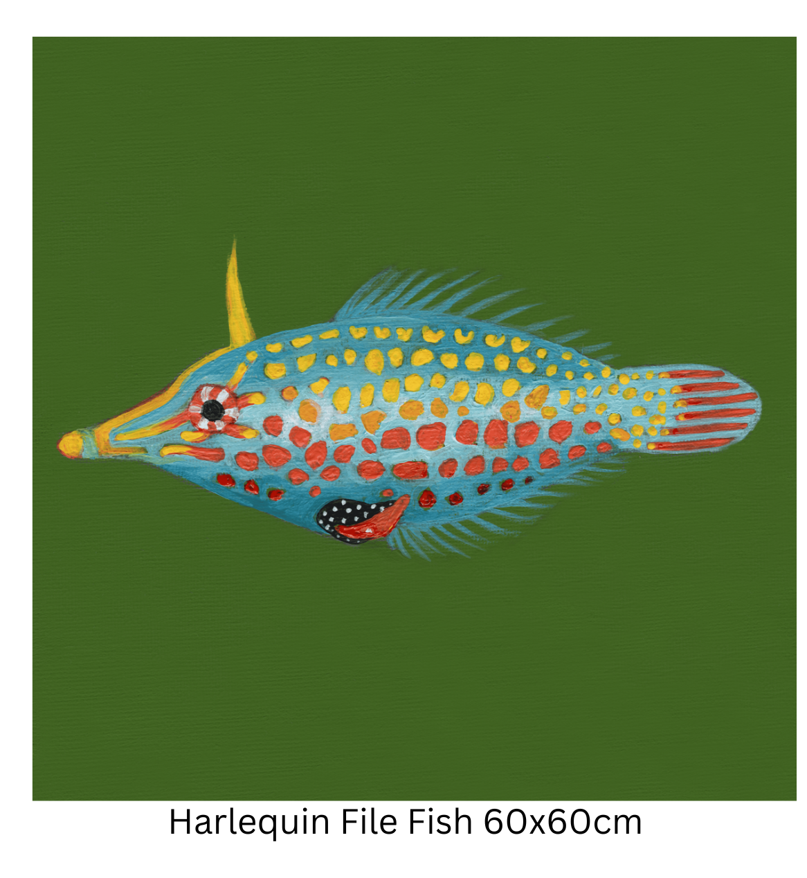 Harlequin File Fish 60cm.png