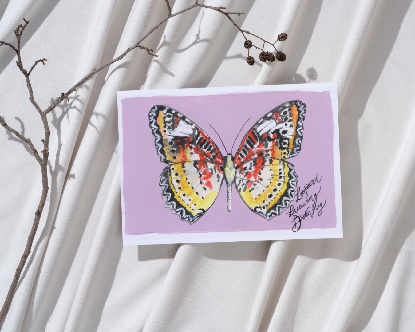 Leopard Lacewing Butterfly