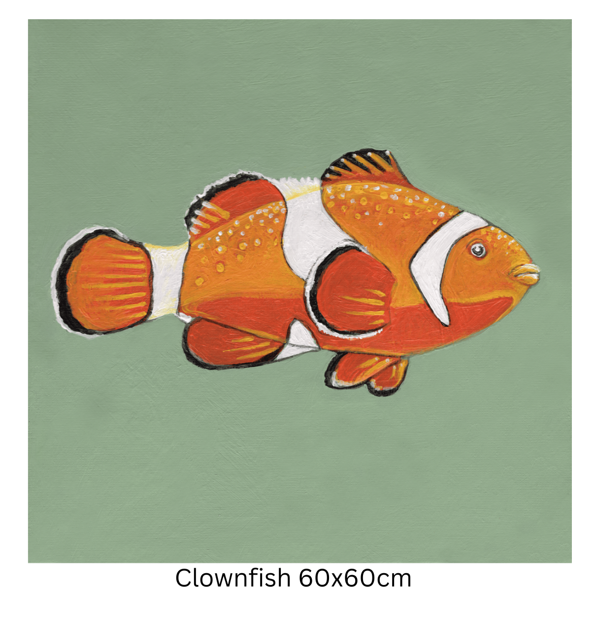 Clownfish 60cm.png