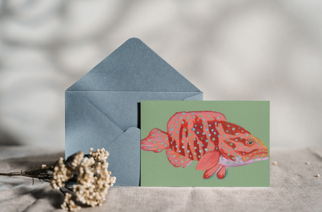 Coral Grouper Fish