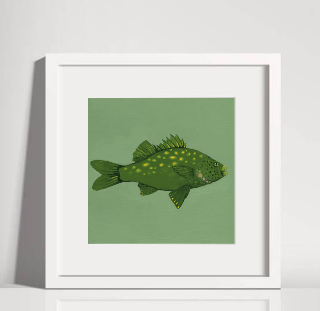 Australian Bass White Frame.png