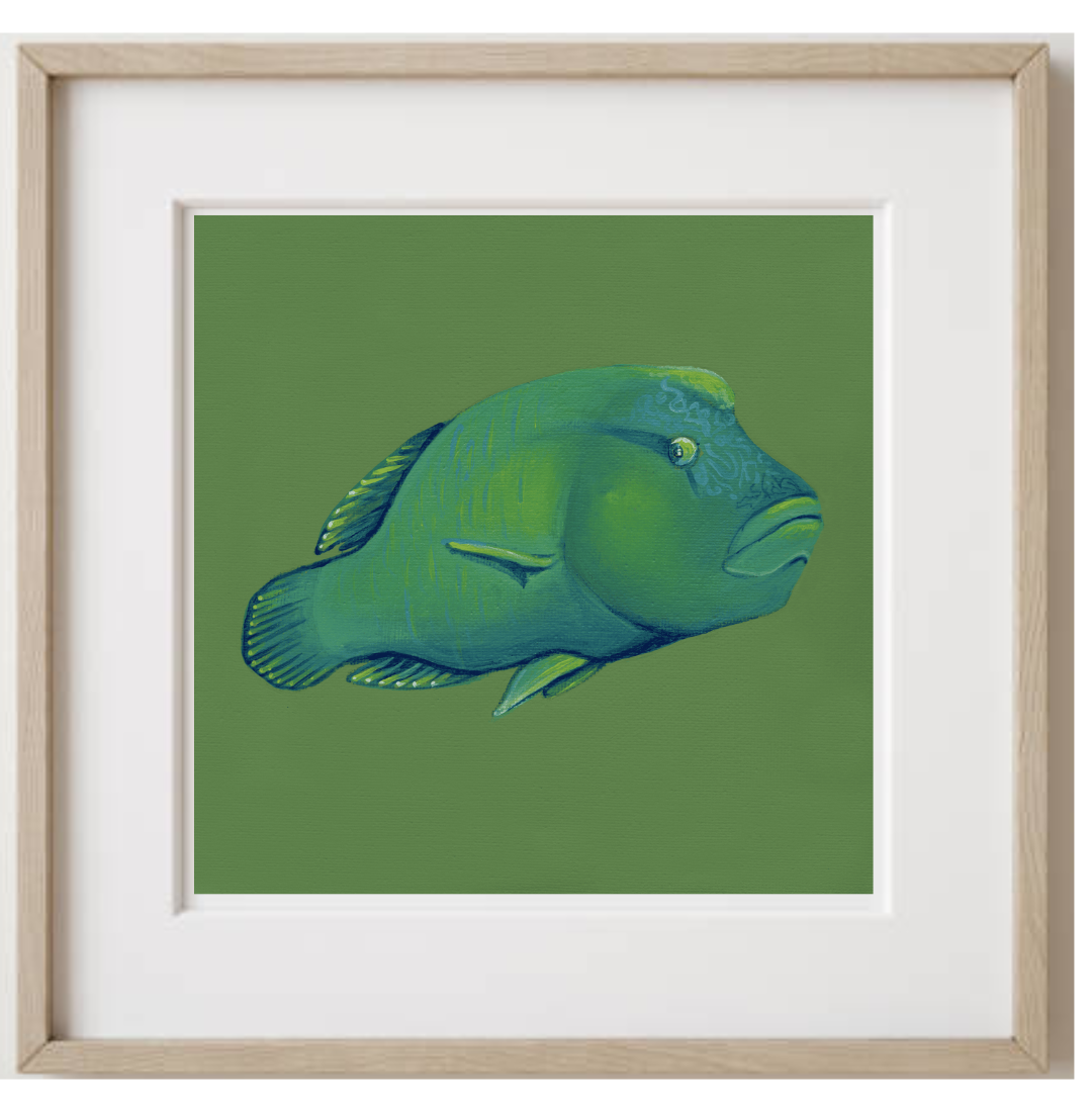 Humphead Wrass Oak Frame.png