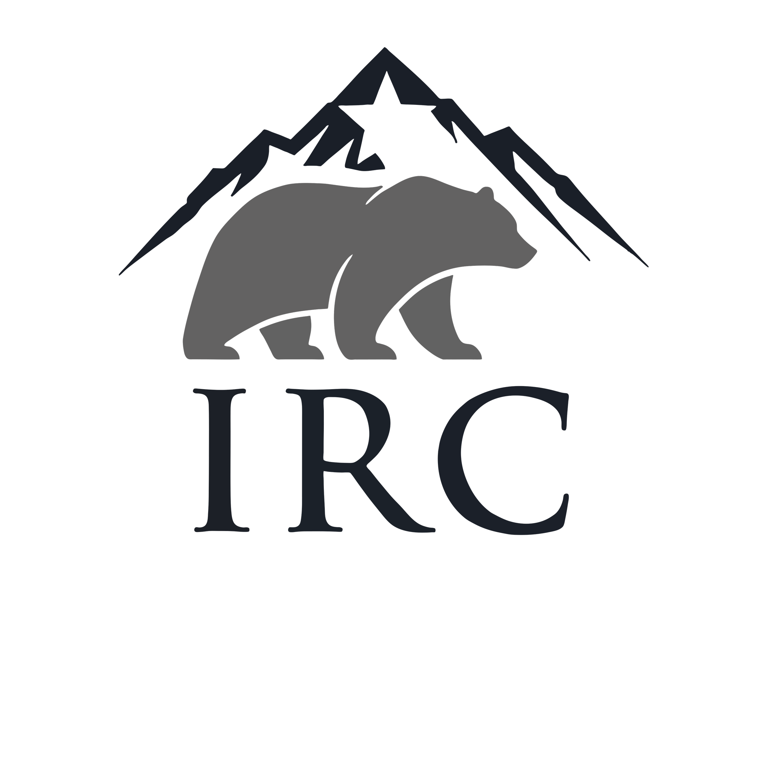 Individual Insurance