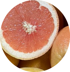 GRAPEFRUIT