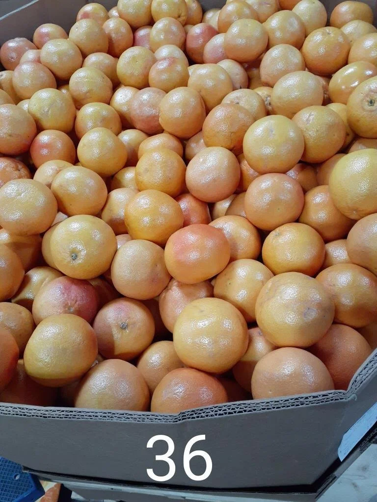 WhatsApp Image 2020-03-09 at 4.21.16 PM (1).jpeg