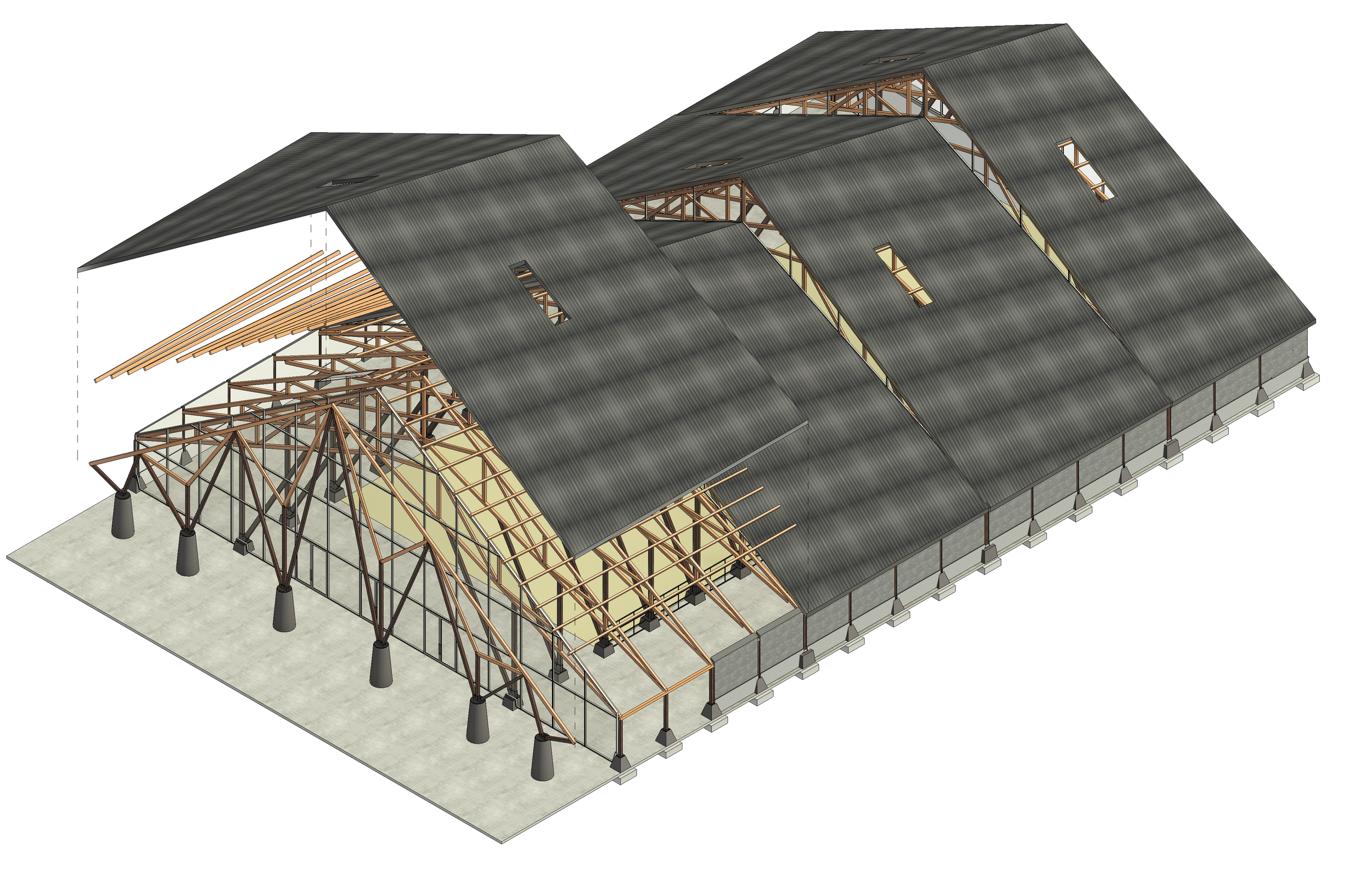 1 - 3D View - 3D ARENA AXON.png