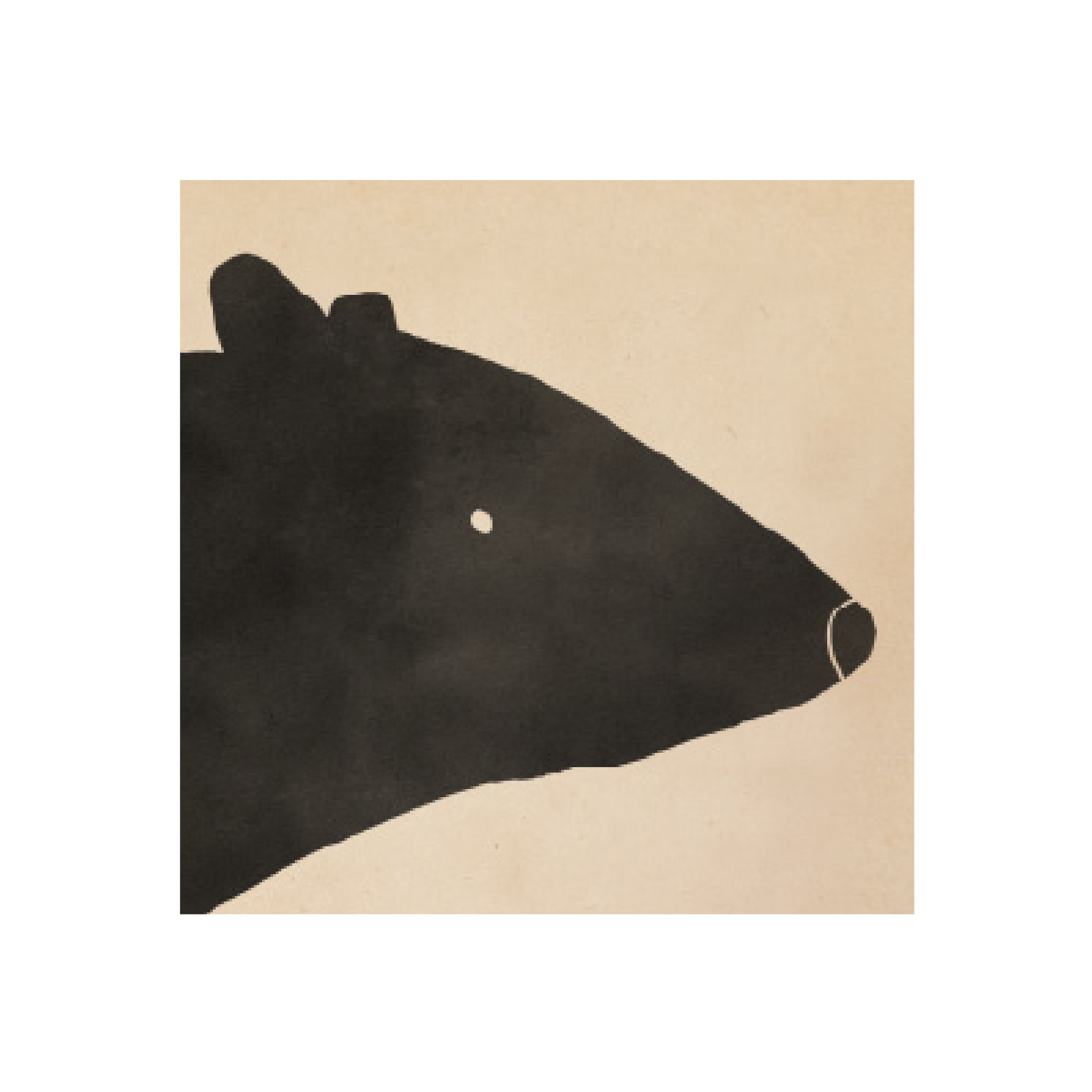 Haghaus website BEAR Closeup.png
