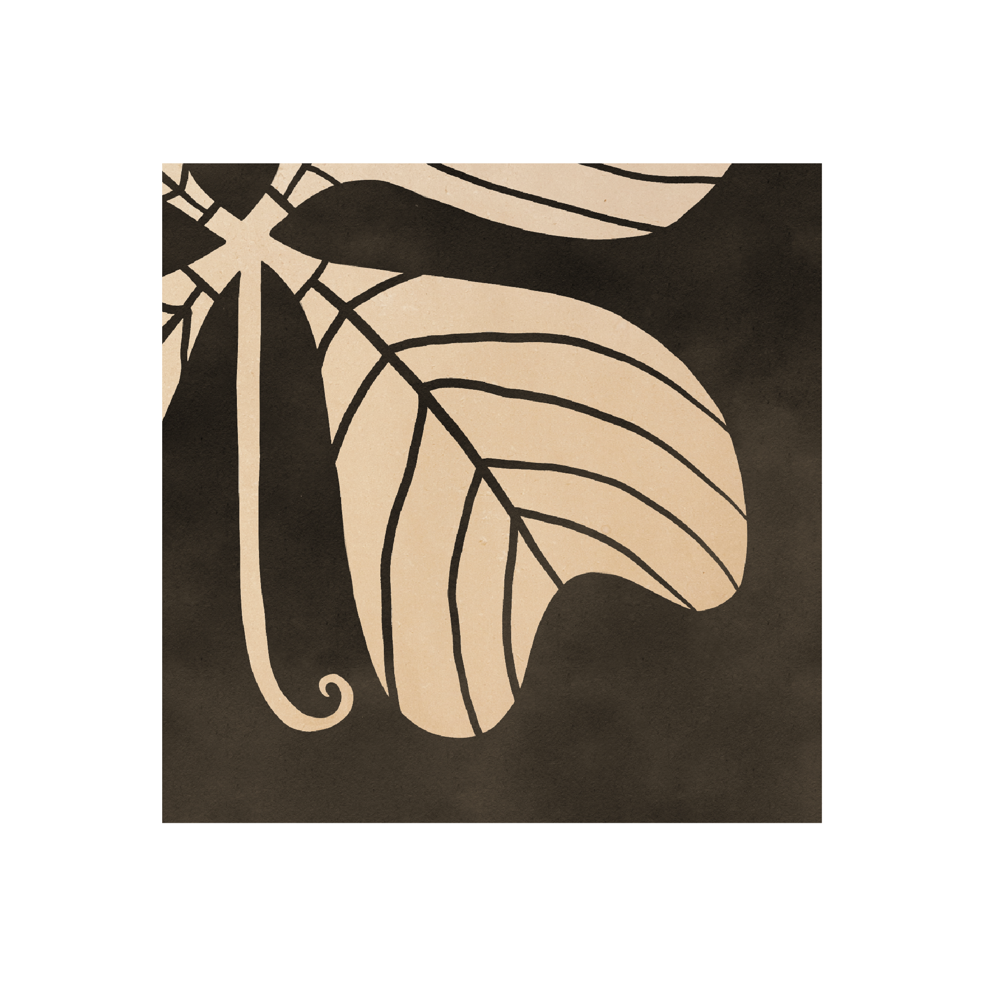 Haghaus clover closeup Template .png