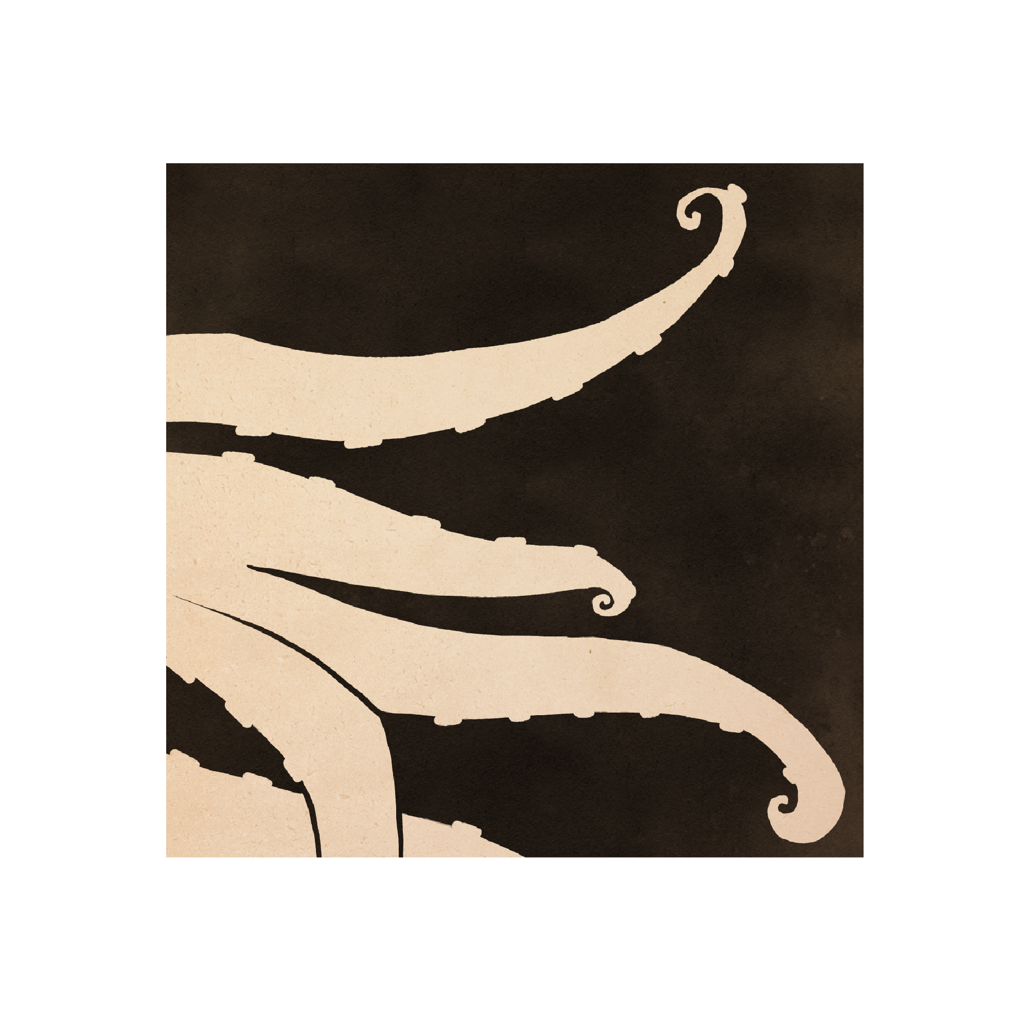 Haghaus Octopus Closeup Website .png