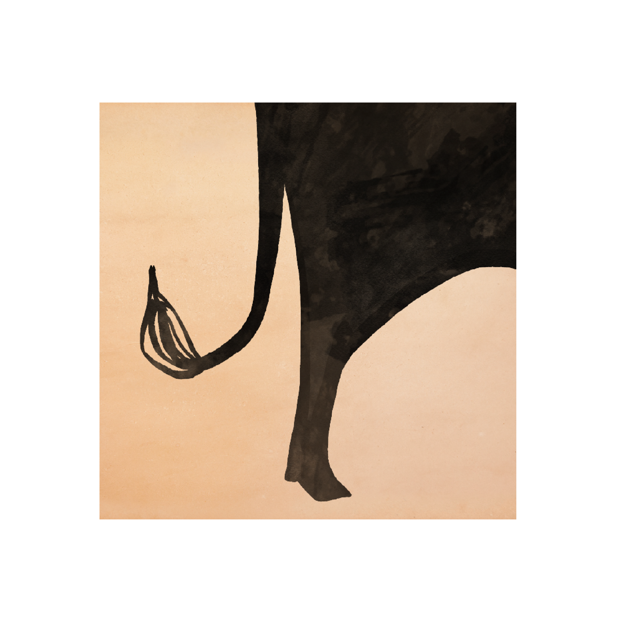 Haghaus WEBSITE BULL tail .png