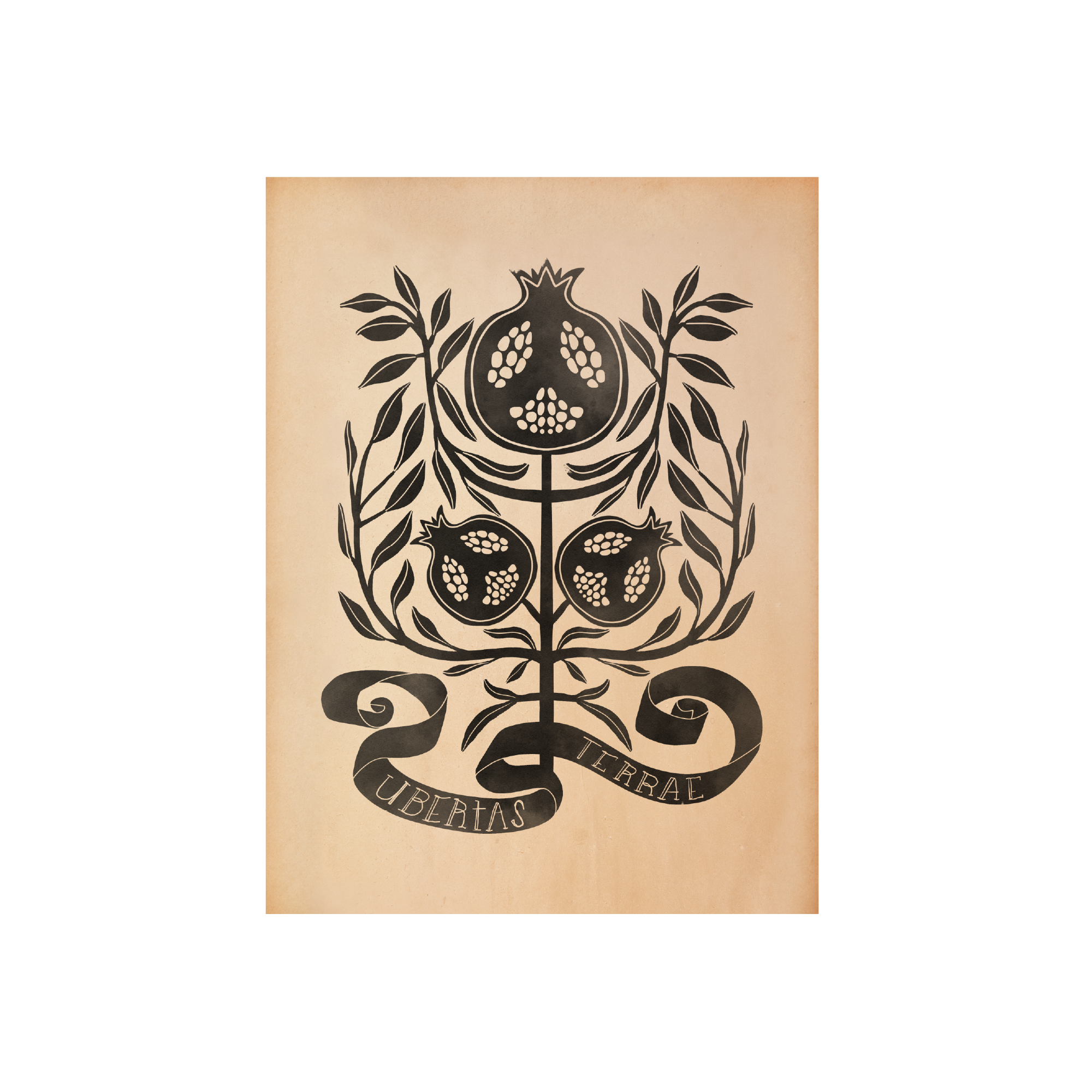 Pomegranate Art Print | Abundance