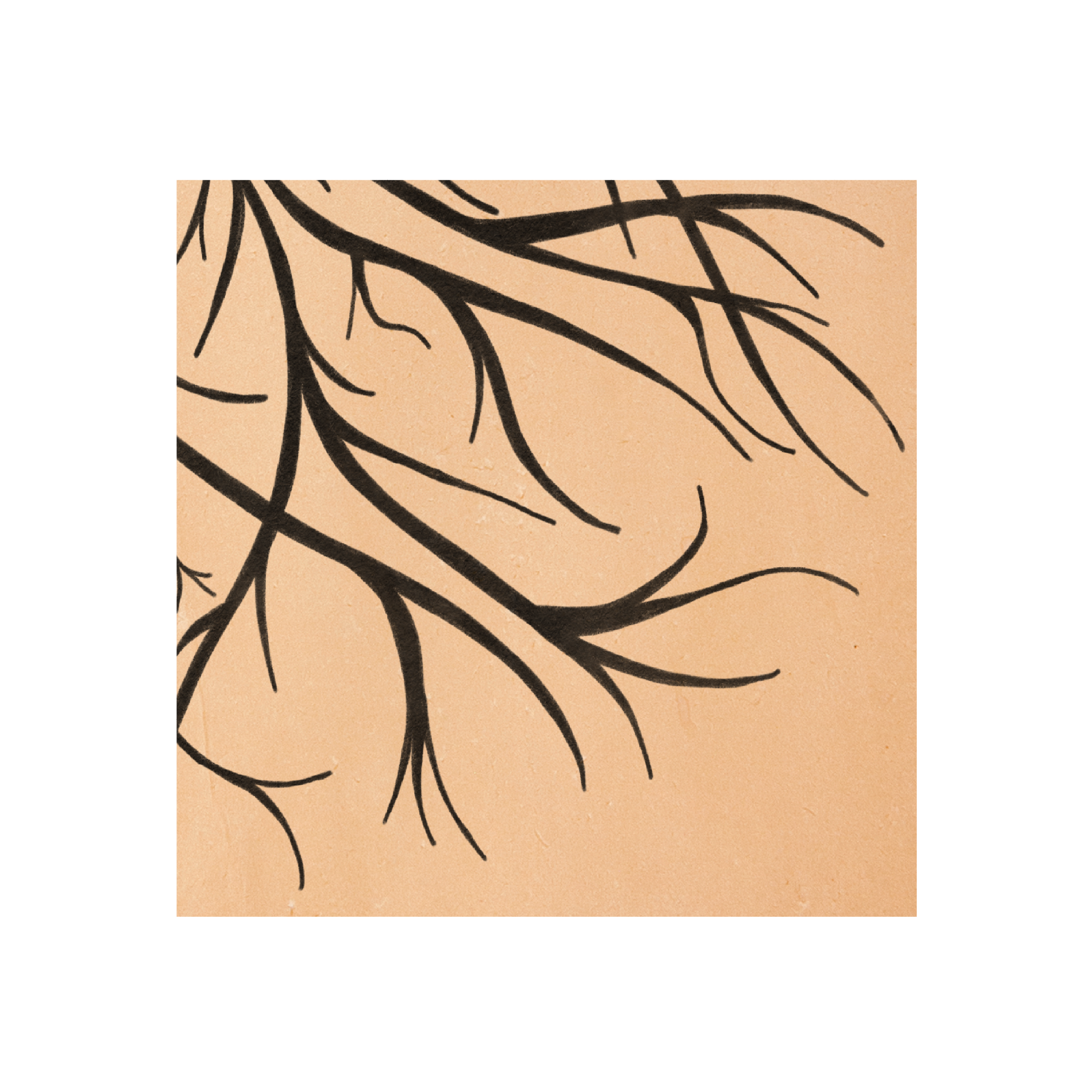 Home Art Print Rooted closeup 1 .png