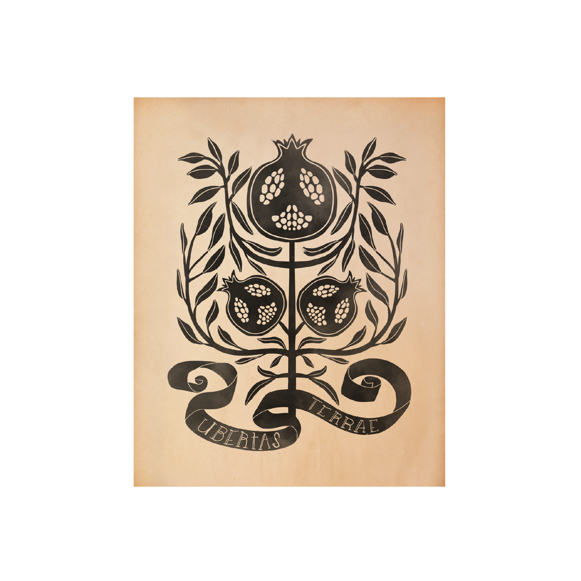 POMEGRANATE | ABUNDANCE