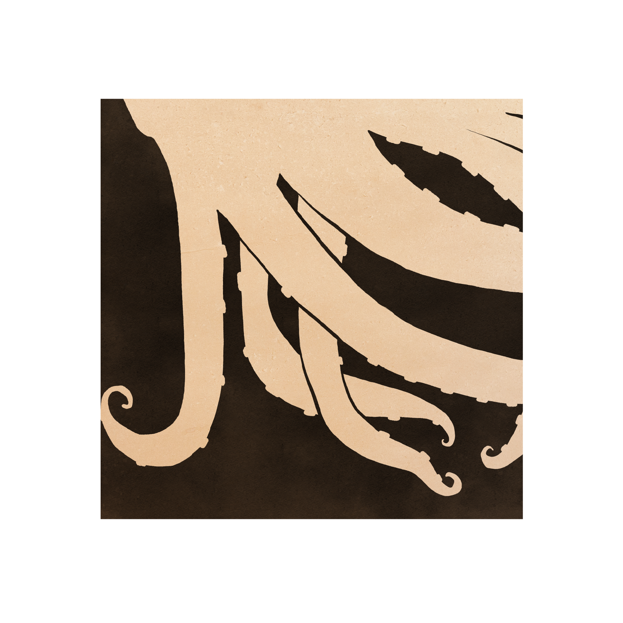 Haghaus Octopus Closeup 2 Website .png